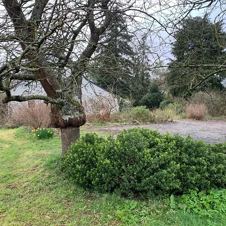 Couette-café L Entre Deux